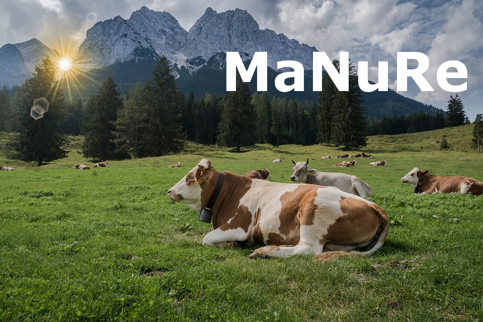 Manure logo