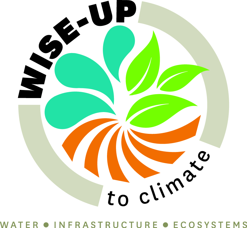 WISE-UP logo
